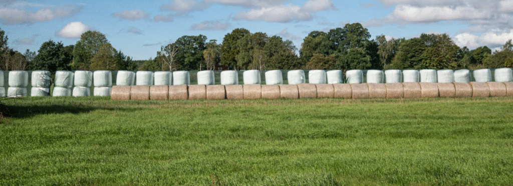 Agriculture