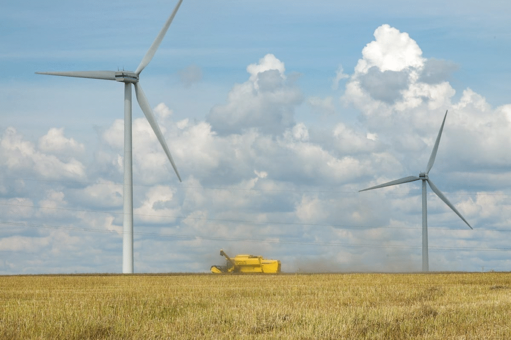Harvesting food and energy