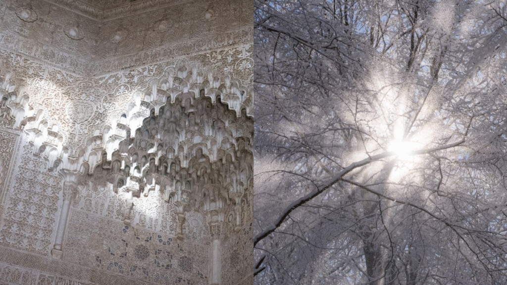 Alhambra, Granada, Spain and Beech trees at Prästabonnaskogen, Sweden.