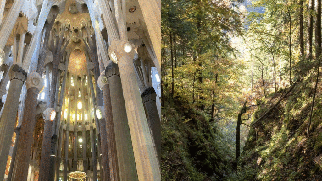 Sagrada Familia, Barcelona, Spain and Niederbauen, Luzern, Switzerland.